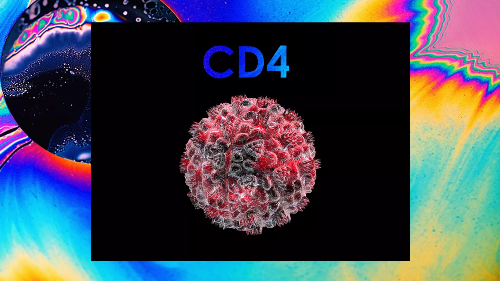 CD4 Count Explained – Track Your Immune Health with Confidence