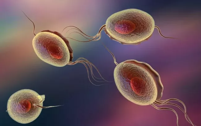 Trichomoniasis in Hong Kong: Symptoms, Testing, Treatment, and Complications