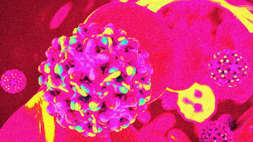 Hepatitis B Uncovered: What You Need to Know and How to Stay Safe