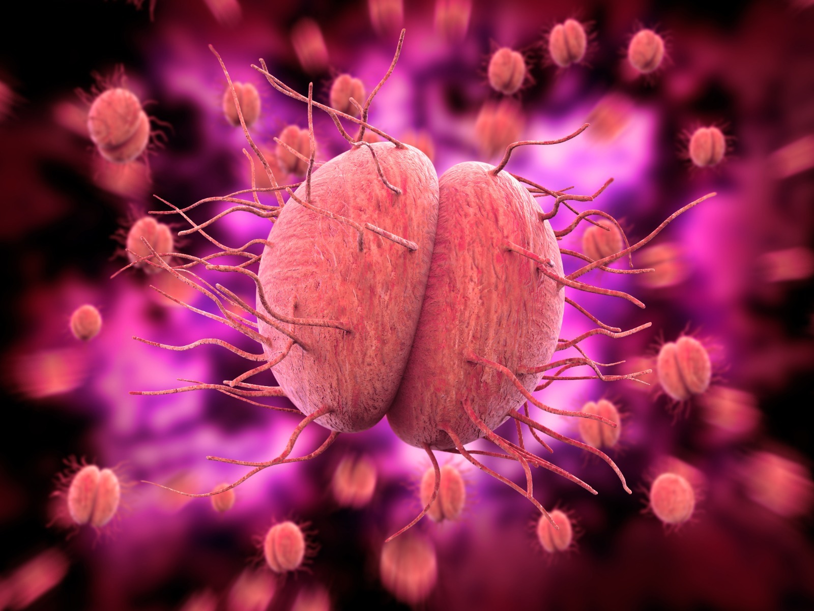 Gonorrhoea in Hong Kong – Symptoms, Testing, Complication and Treatment